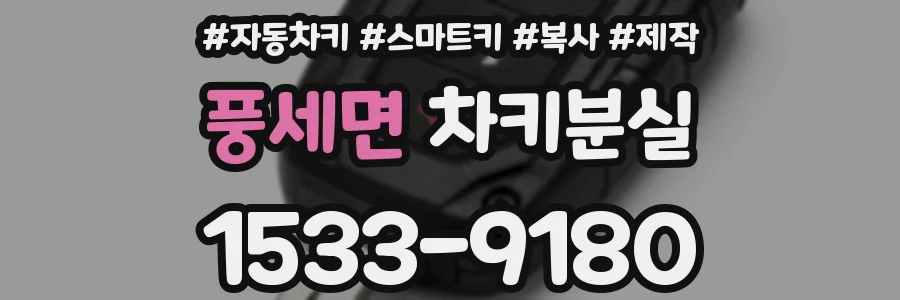 풍세면 차키분실