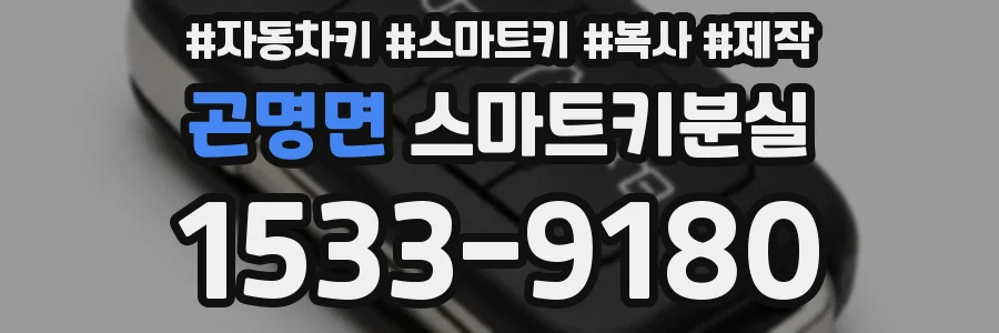 곤명면 스마트키분실