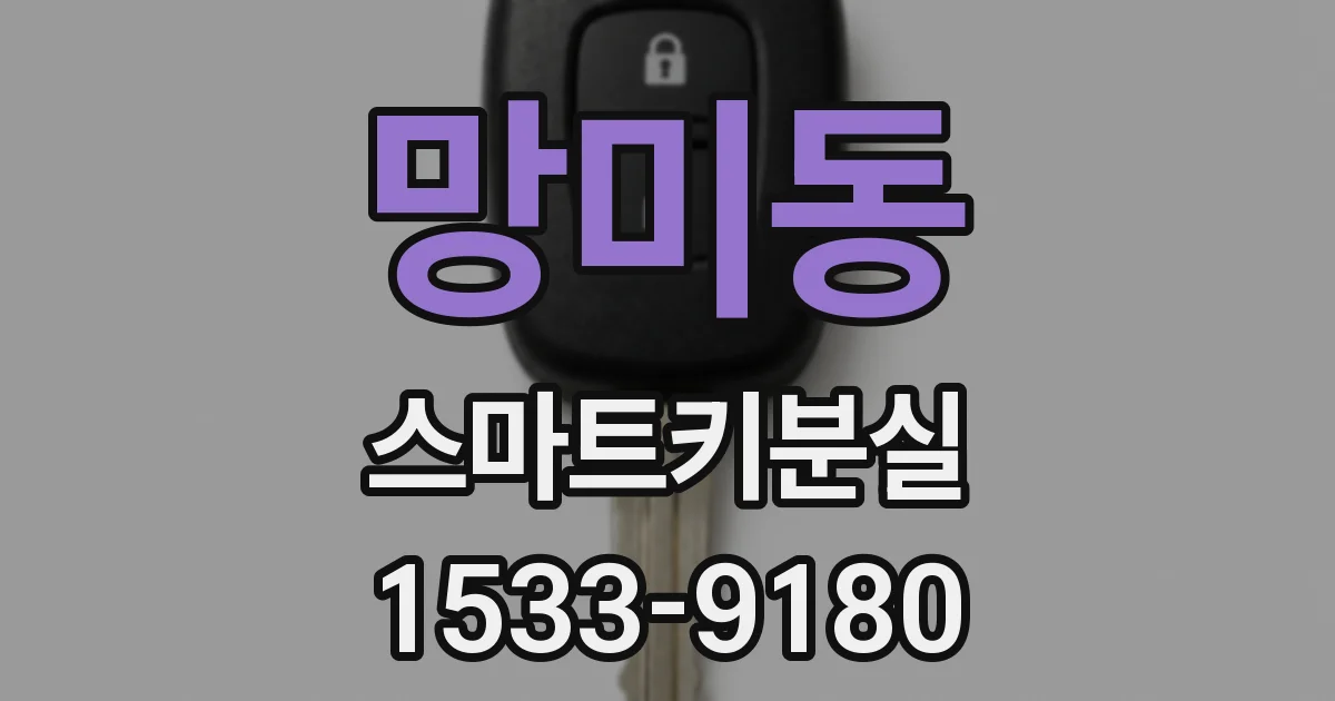 망미동 스마트키분실