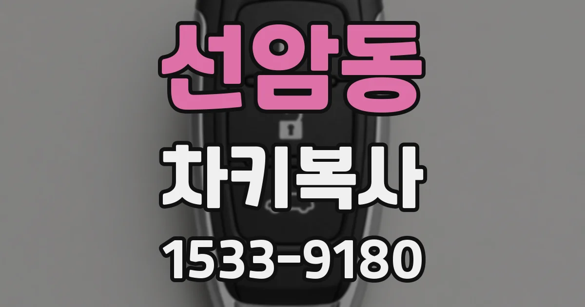 선암동 차키복사