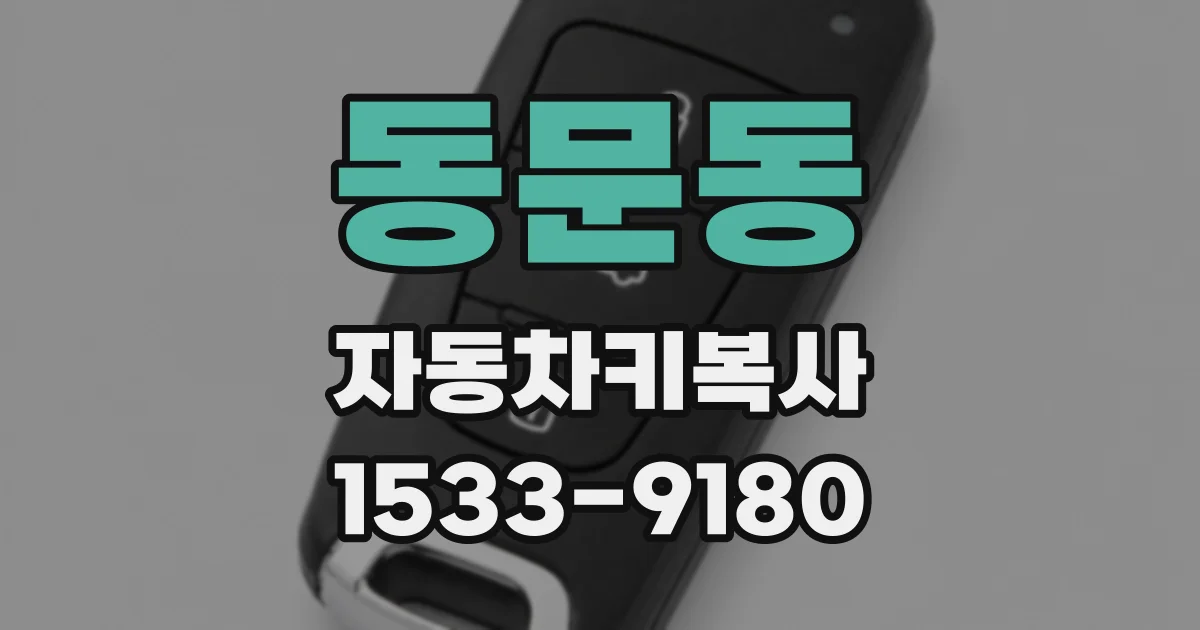 동문동 자동차키복사