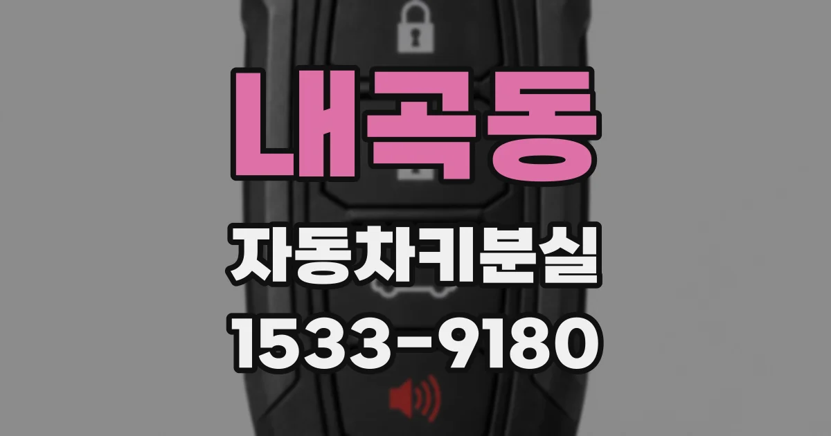 내곡동 자동차키분실