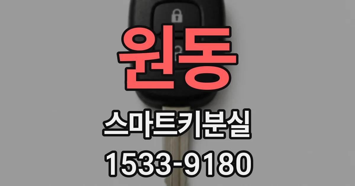 원동 스마트키분실