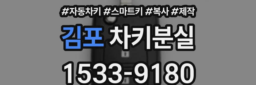김포 차키분실