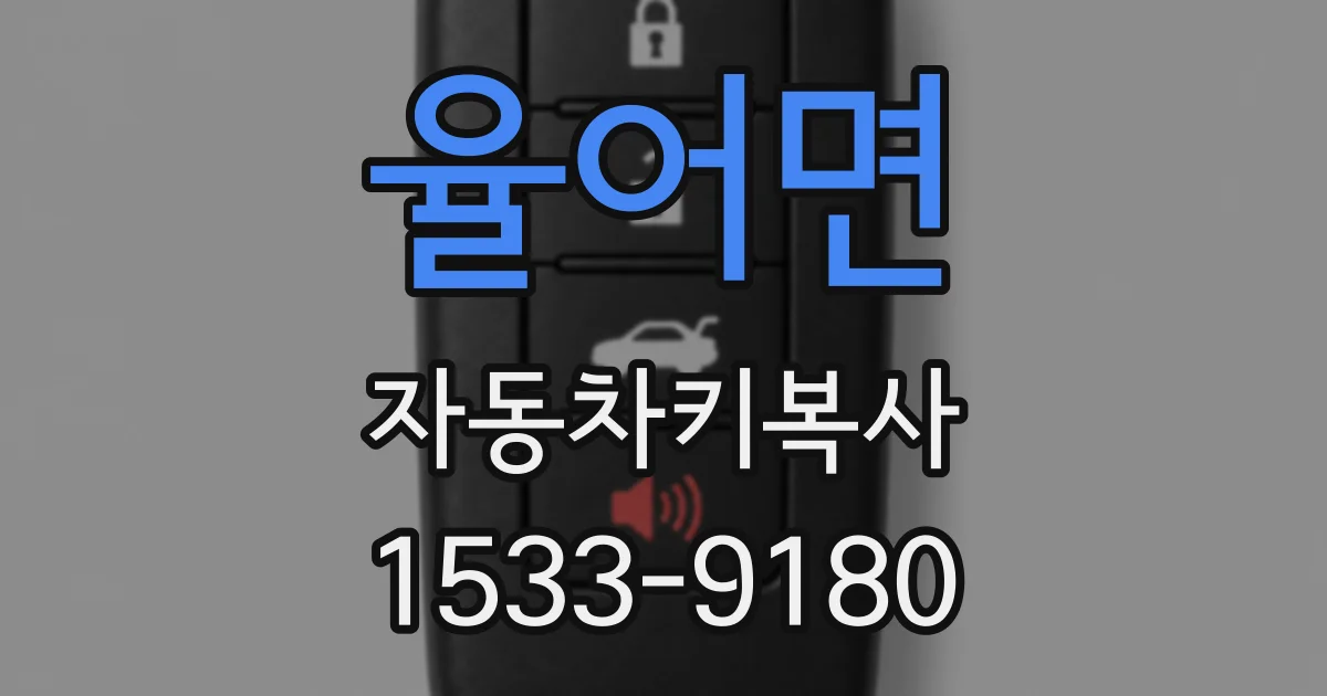 율어면 자동차키복사