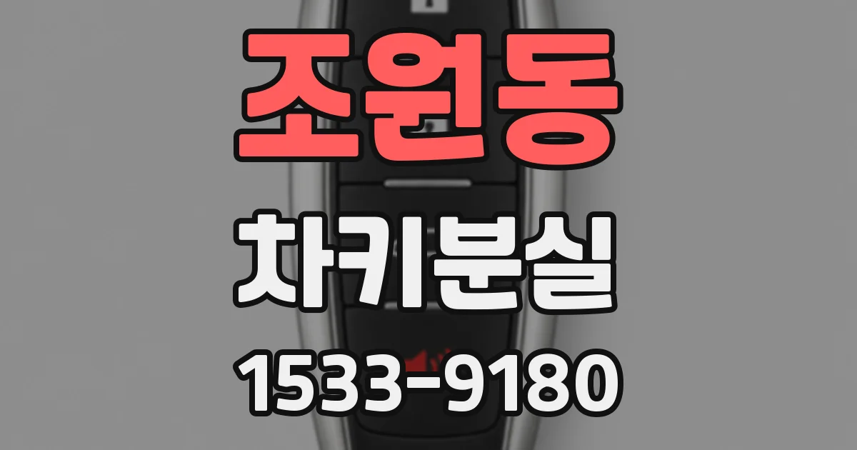 조원동 차키분실