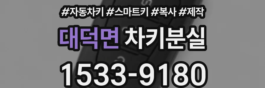 대덕면 차키분실