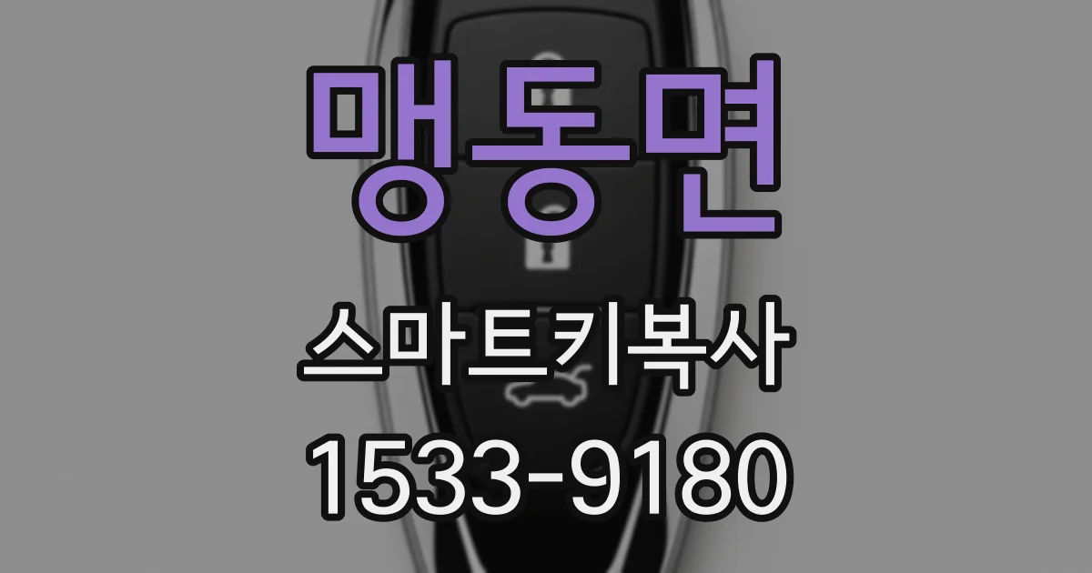 맹동면 스마트키복사
