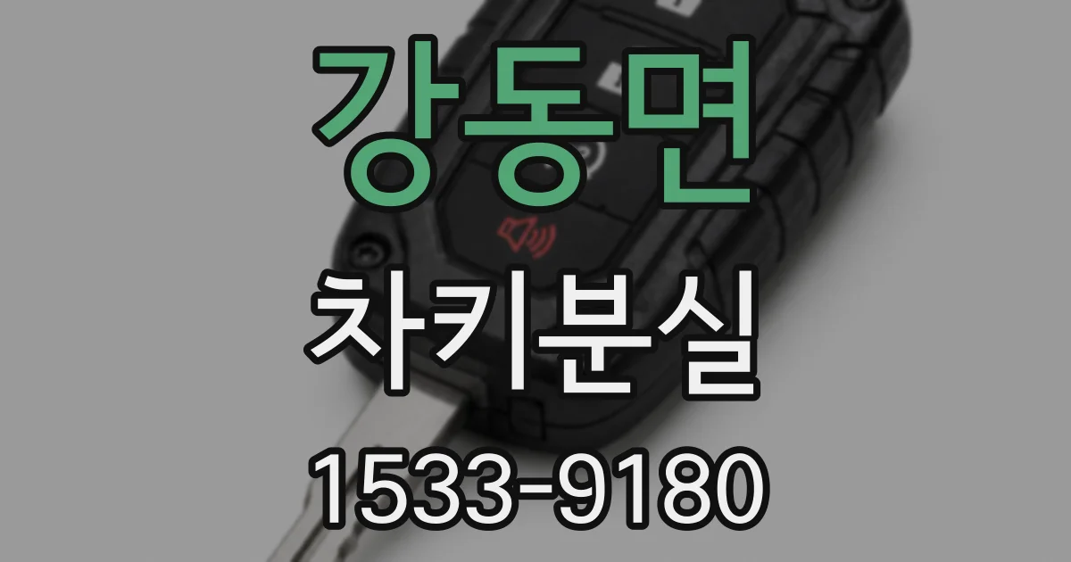 강동면 차키분실