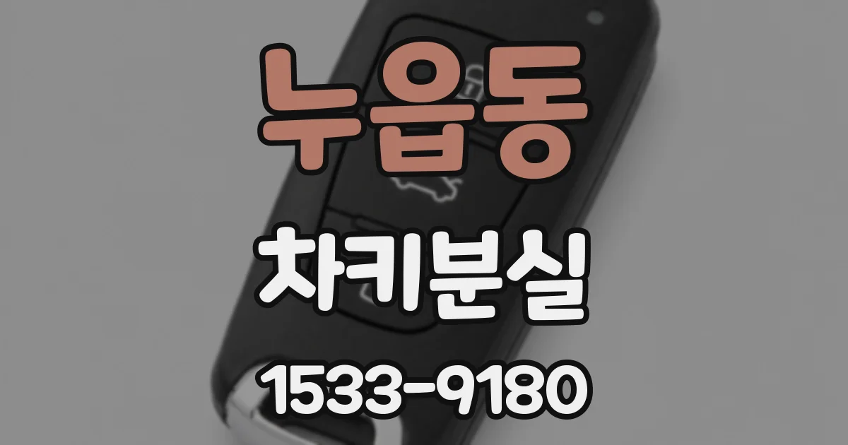 누읍동 차키분실