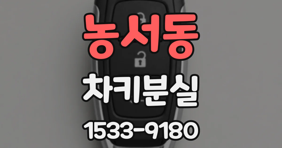 농서동 차키분실