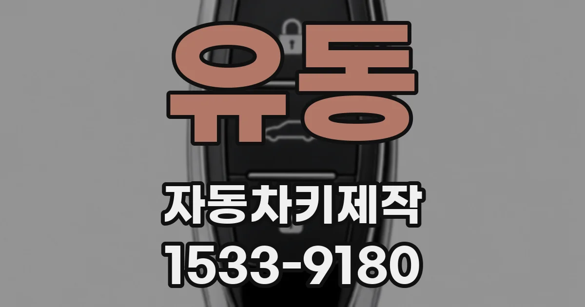 유동 자동차키제작