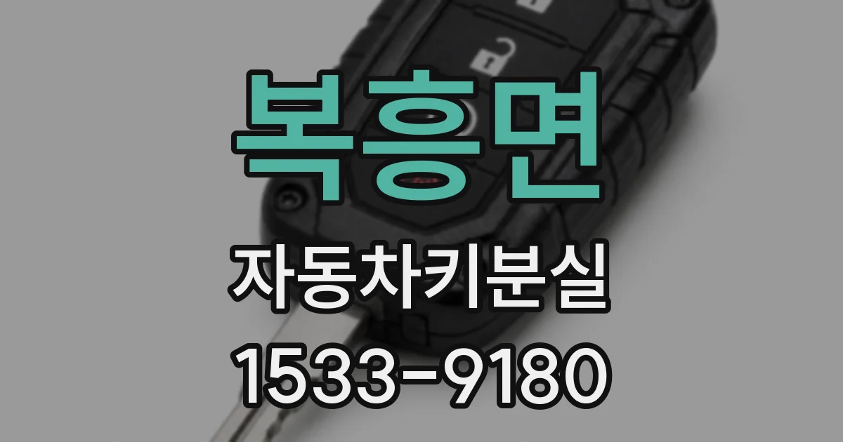 복흥면 자동차키분실