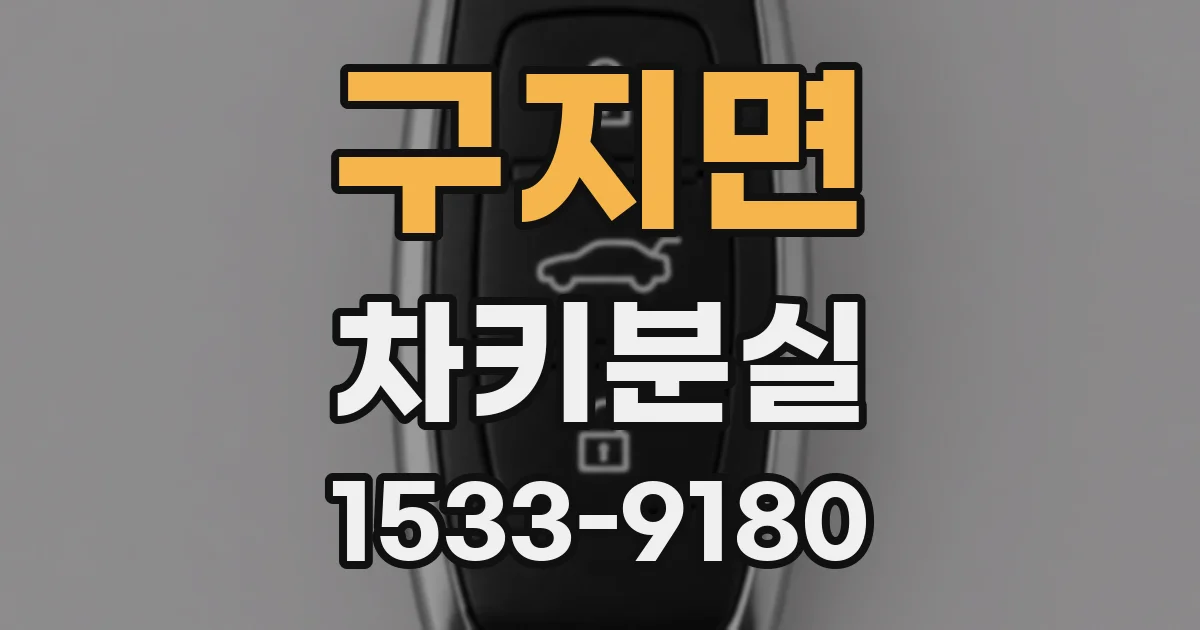구지면 차키분실