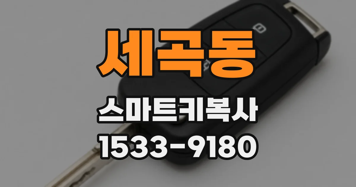 세곡동 스마트키복사