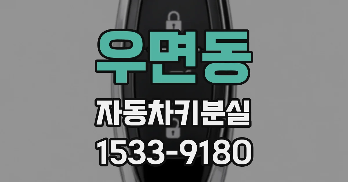 우면동 자동차키분실