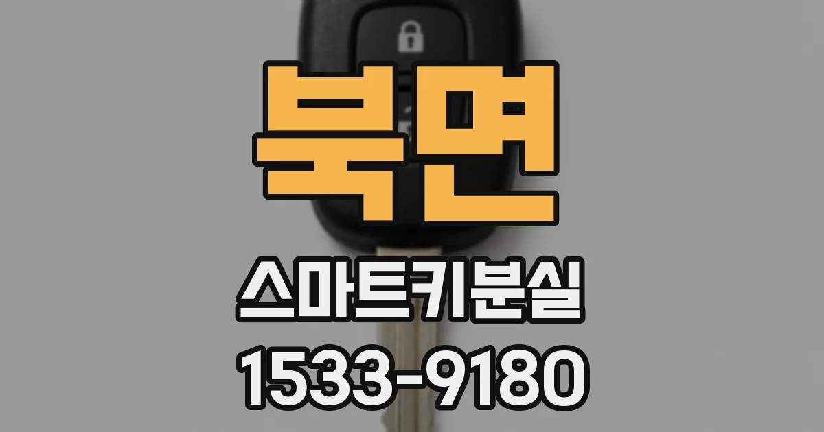 북면 스마트키분실