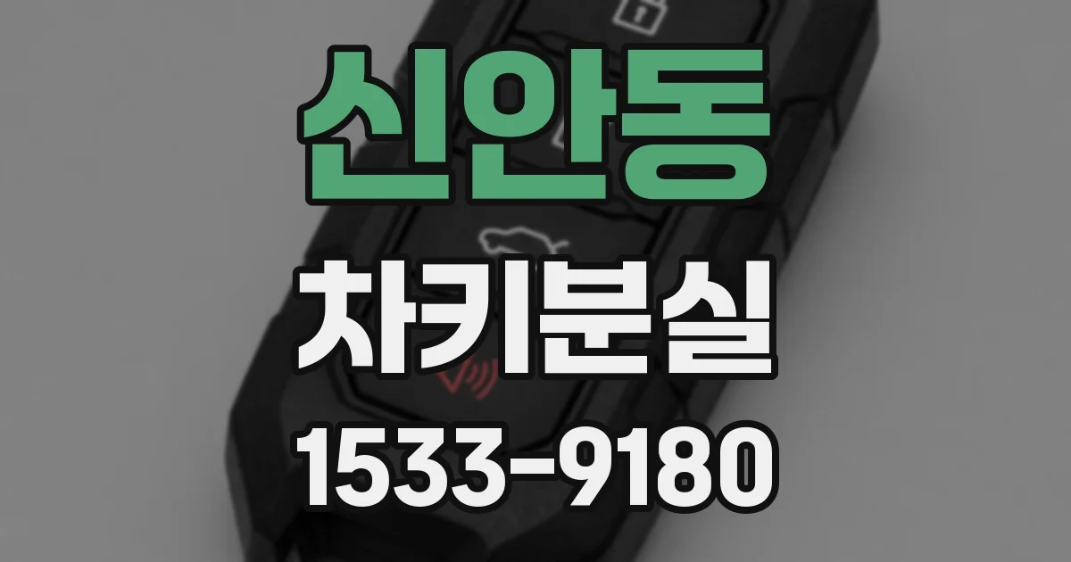 신안동 차키분실