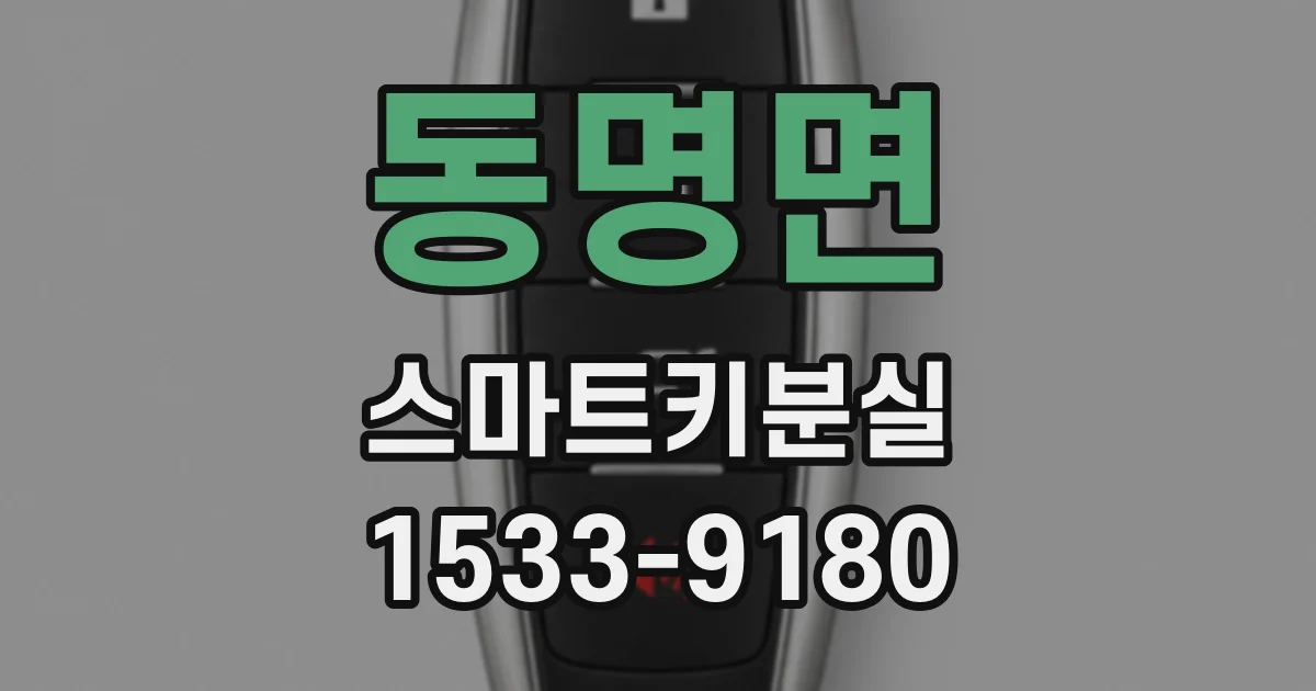 동명면 스마트키분실