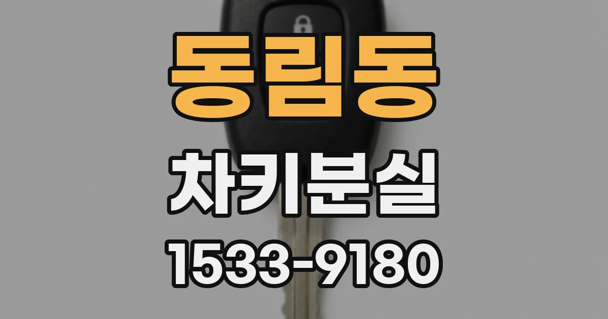 동림동 차키분실