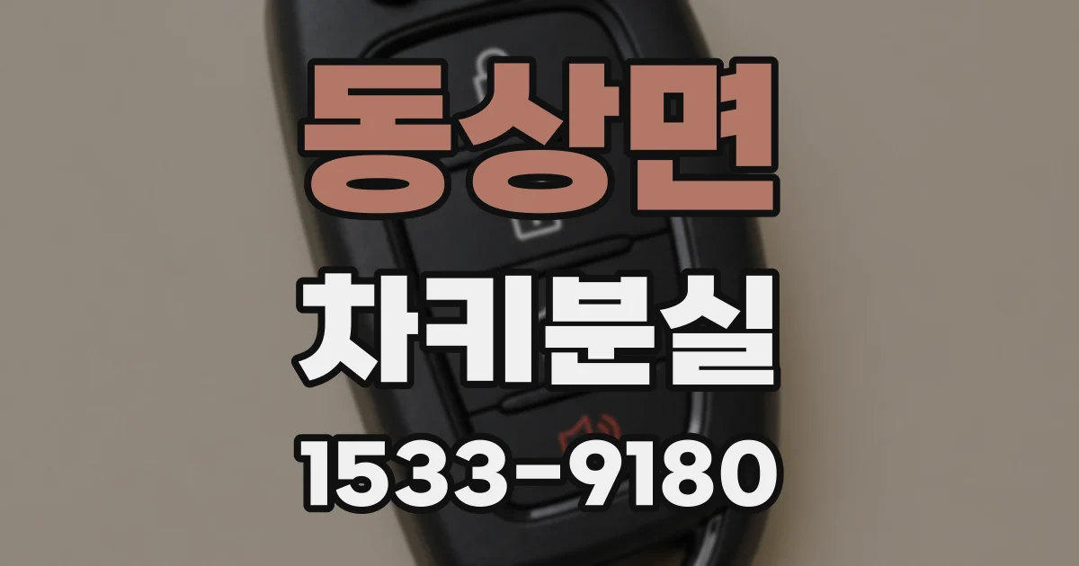 동상면 차키분실