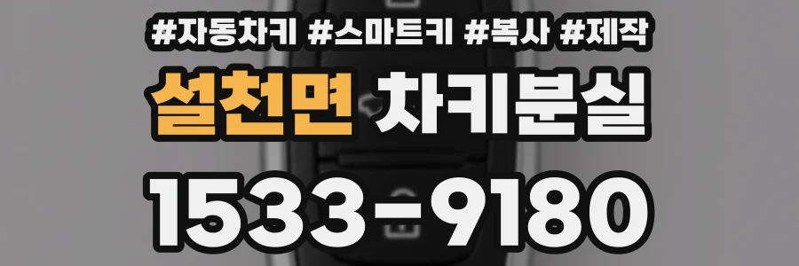설천면 차키분실