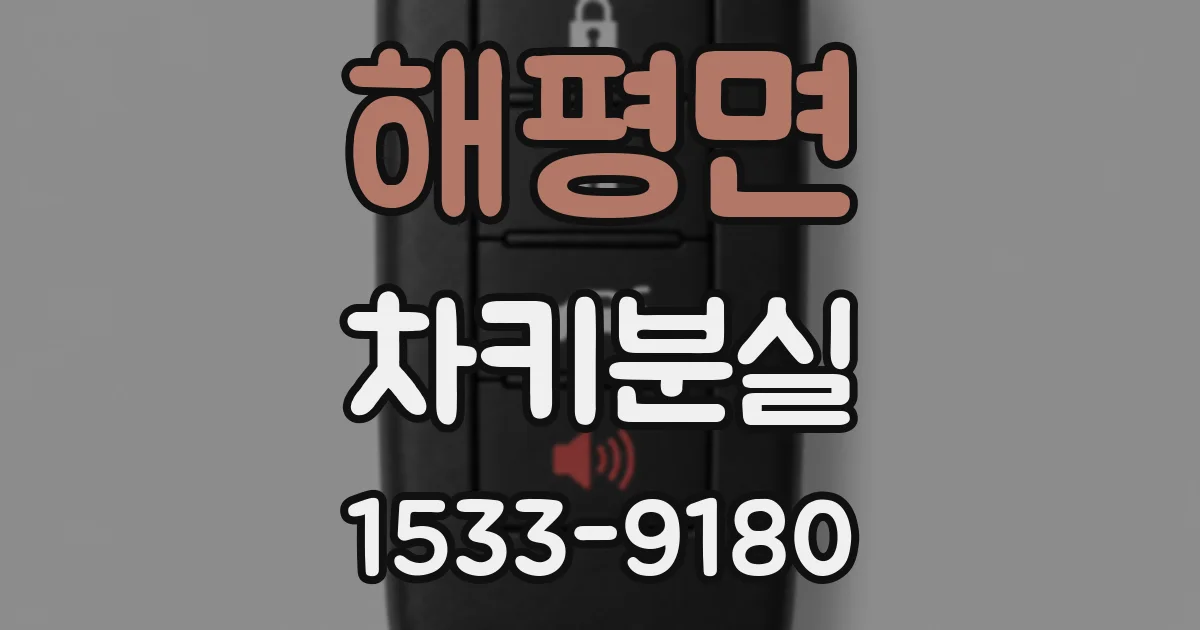 해평면 차키분실