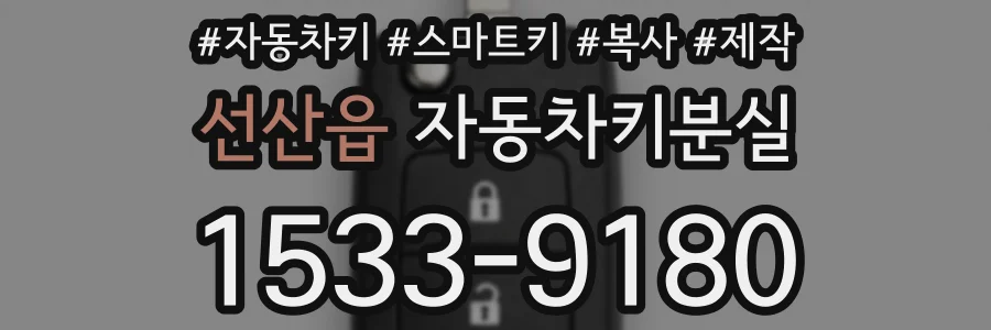 선산읍 자동차키분실