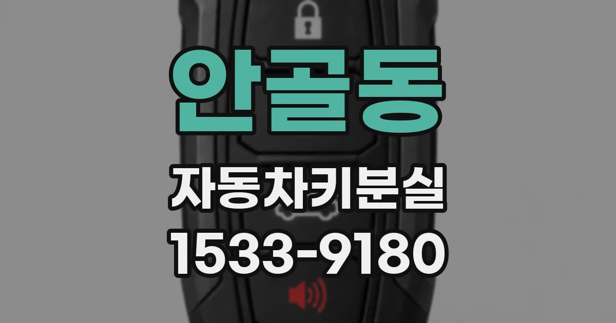 안골동 자동차키분실