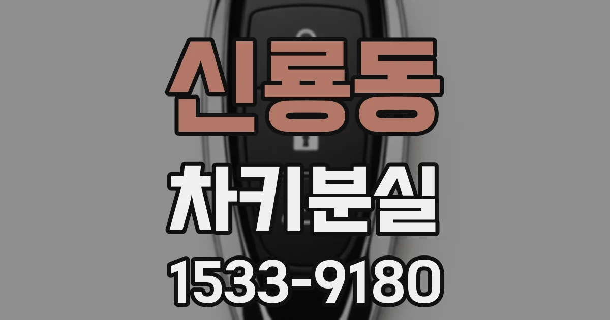 신룡동 차키분실
