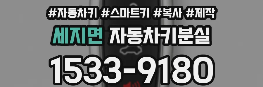 세지면 자동차키분실