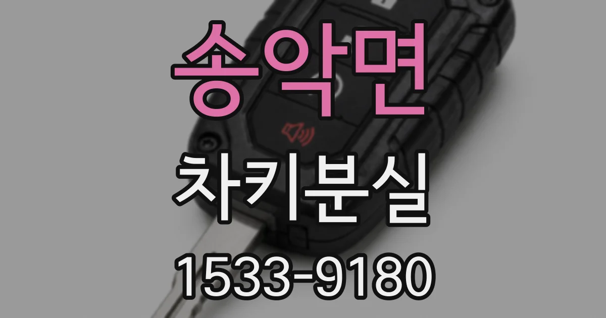 송악면 차키분실