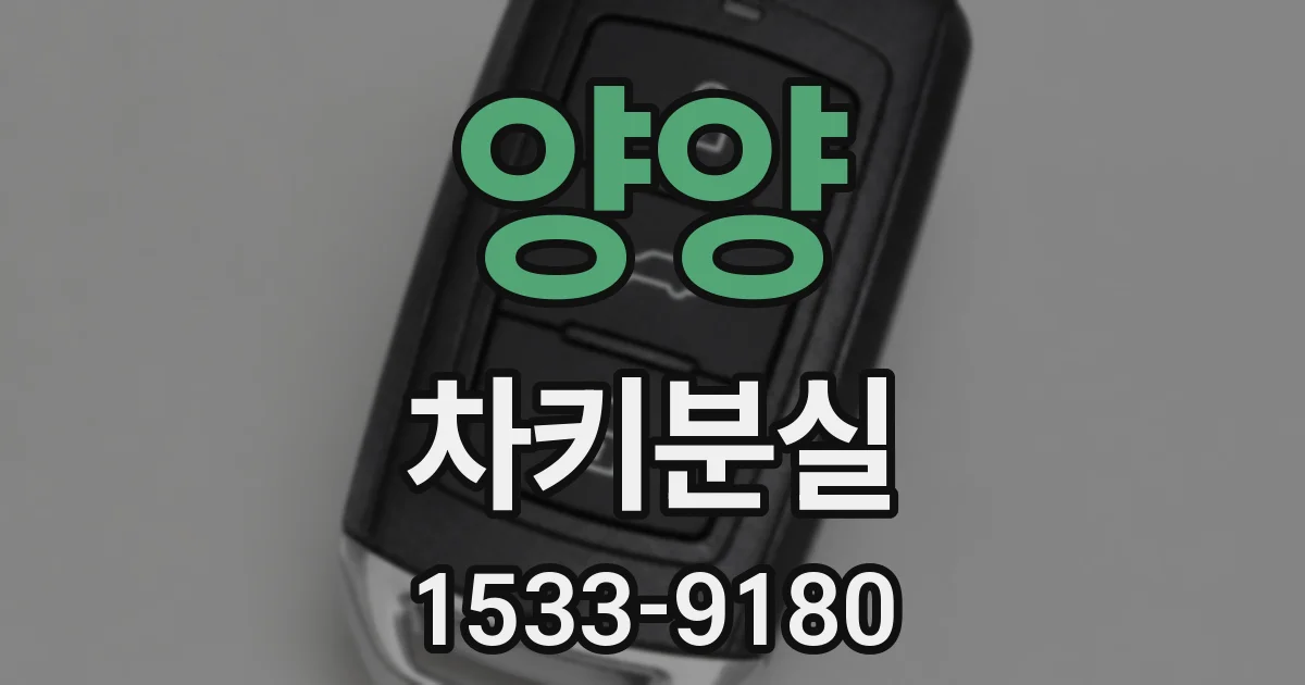 양양 차키분실