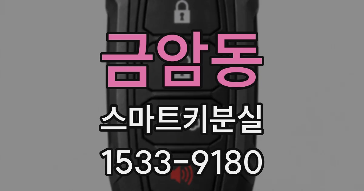 금암동 스마트키분실