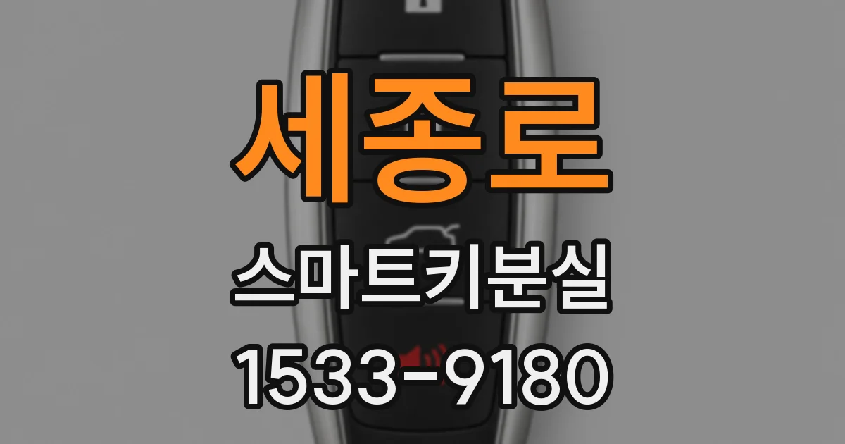 세종로 스마트키분실