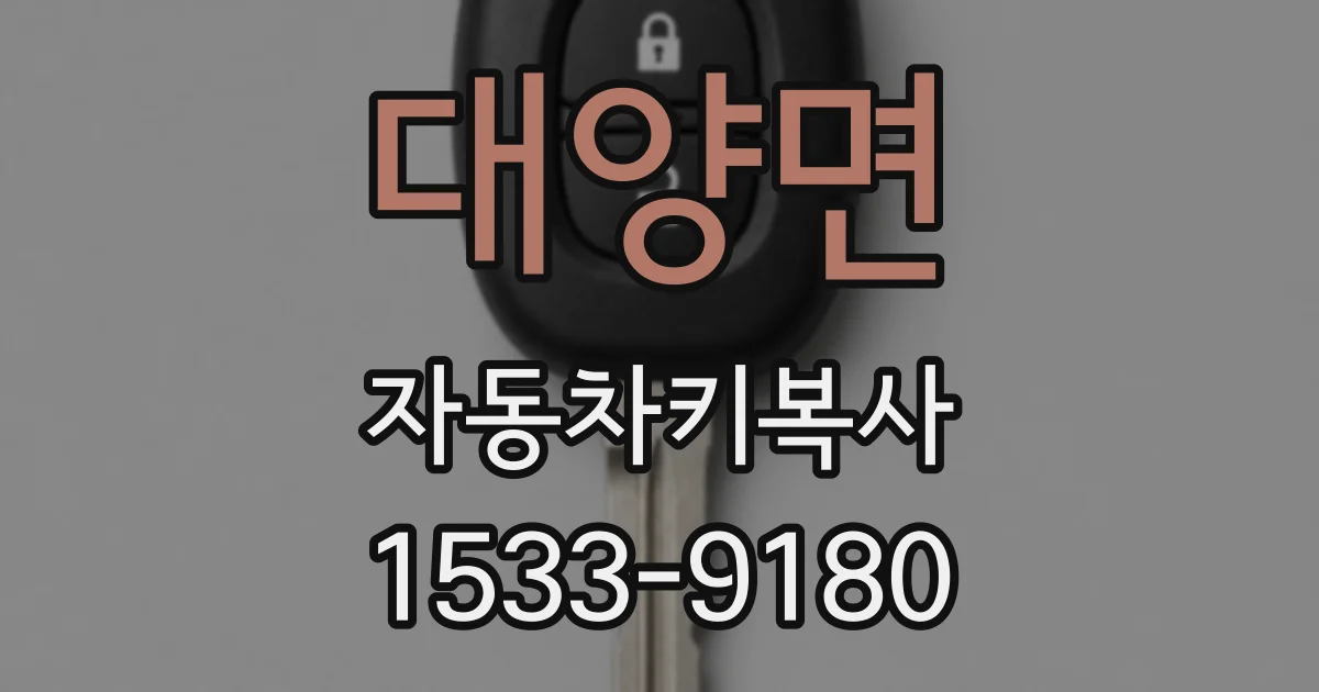 대양면 자동차키복사