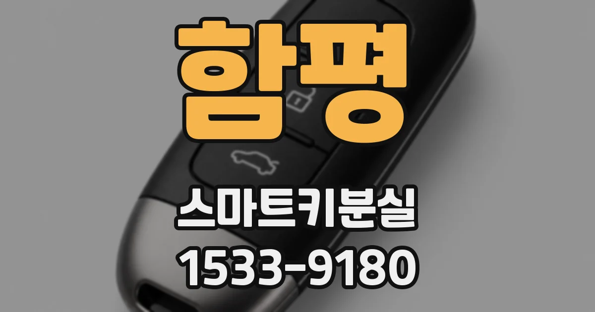 함평 스마트키분실