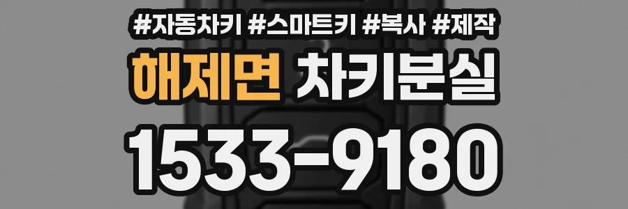 해제면 차키분실