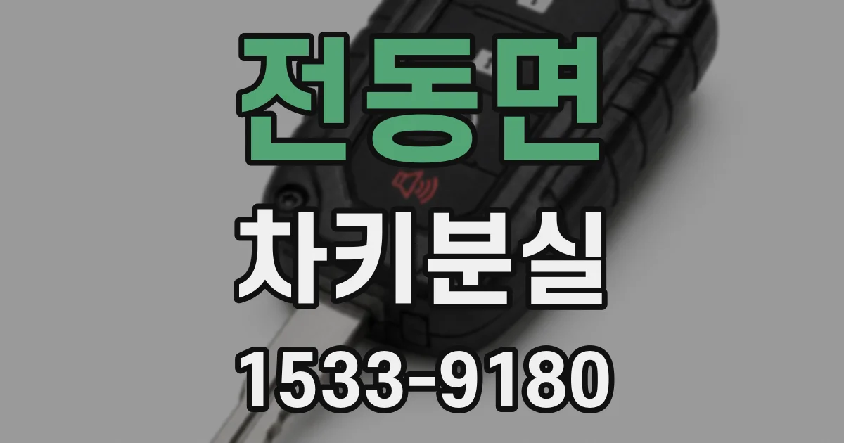 전동면 차키분실