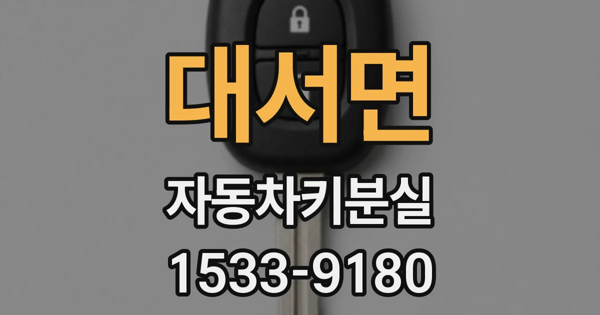 대서면 자동차키분실