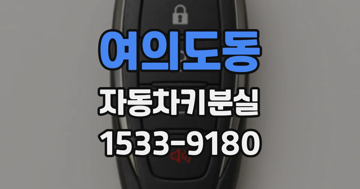 여의도동 자동차키분실