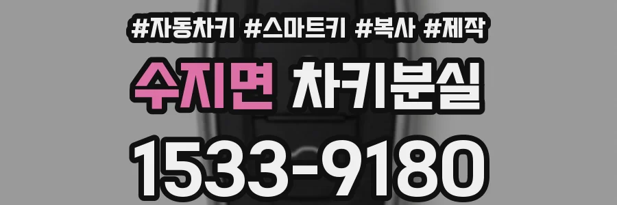 수지면 차키분실
