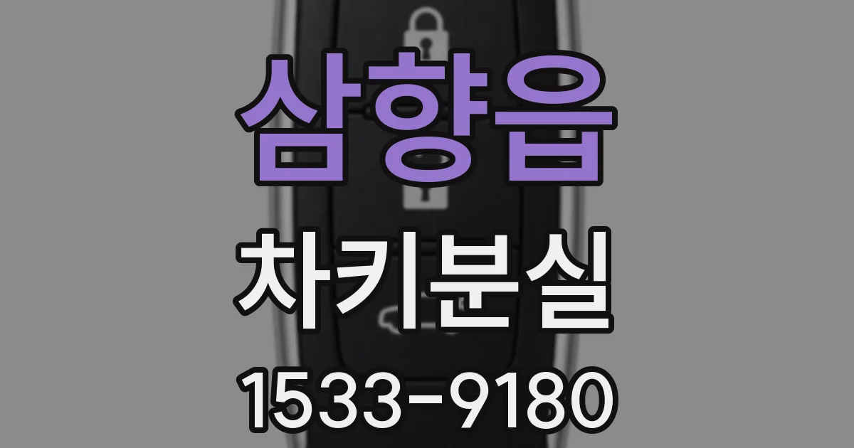 삼향읍 차키분실