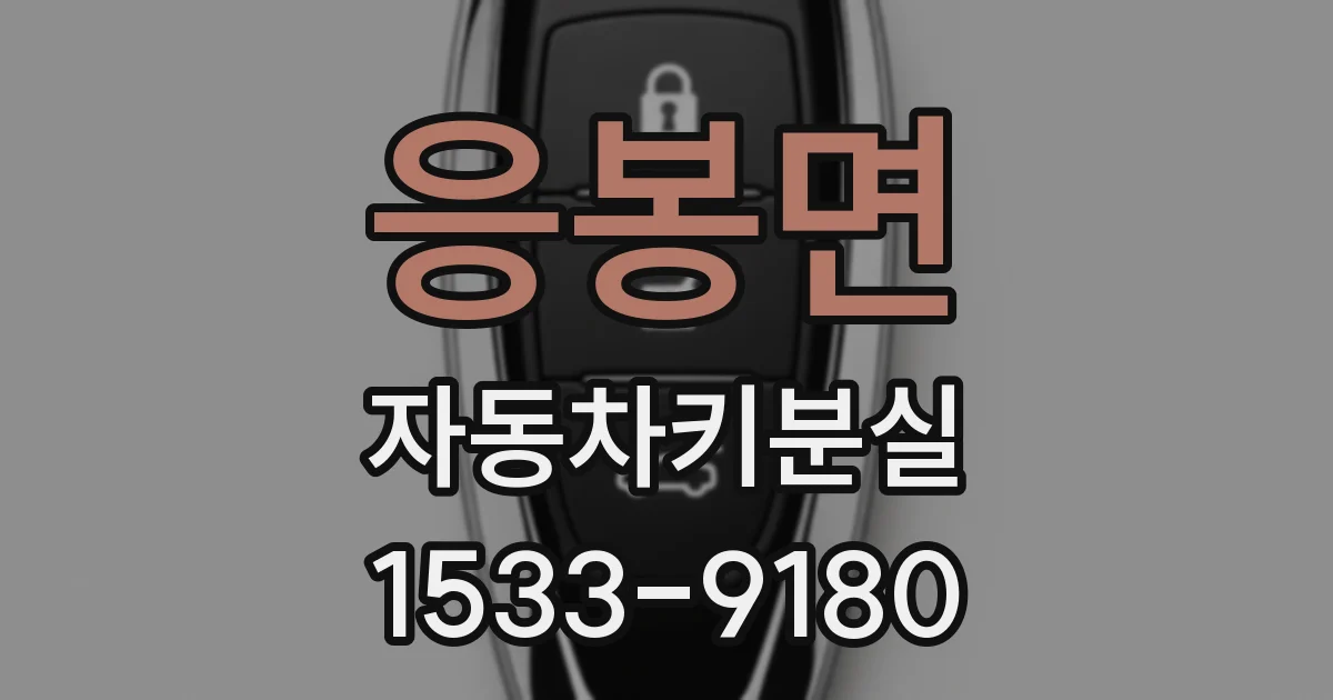 응봉면 자동차키분실