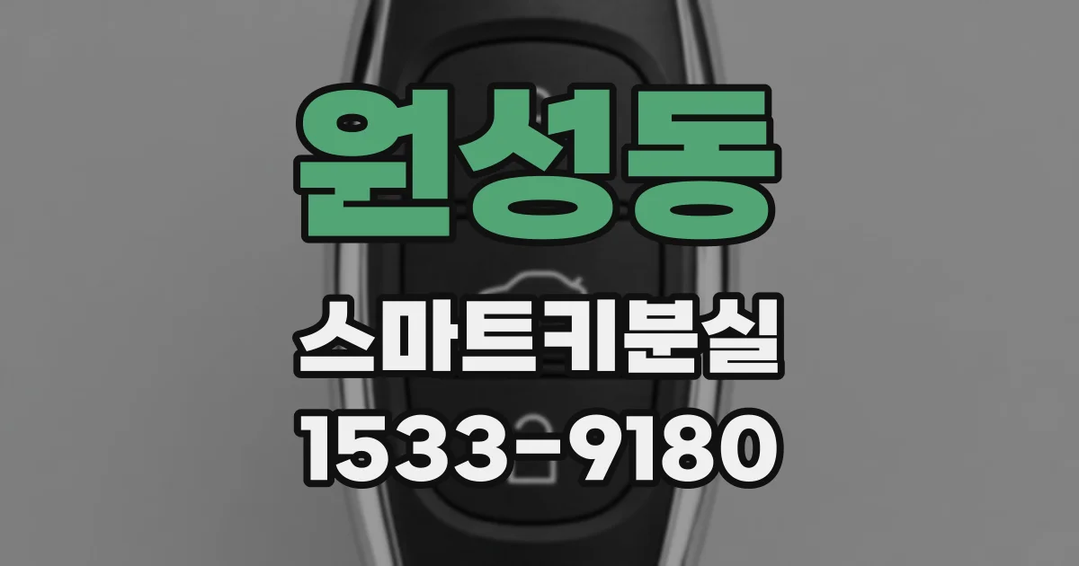 원성동 스마트키분실