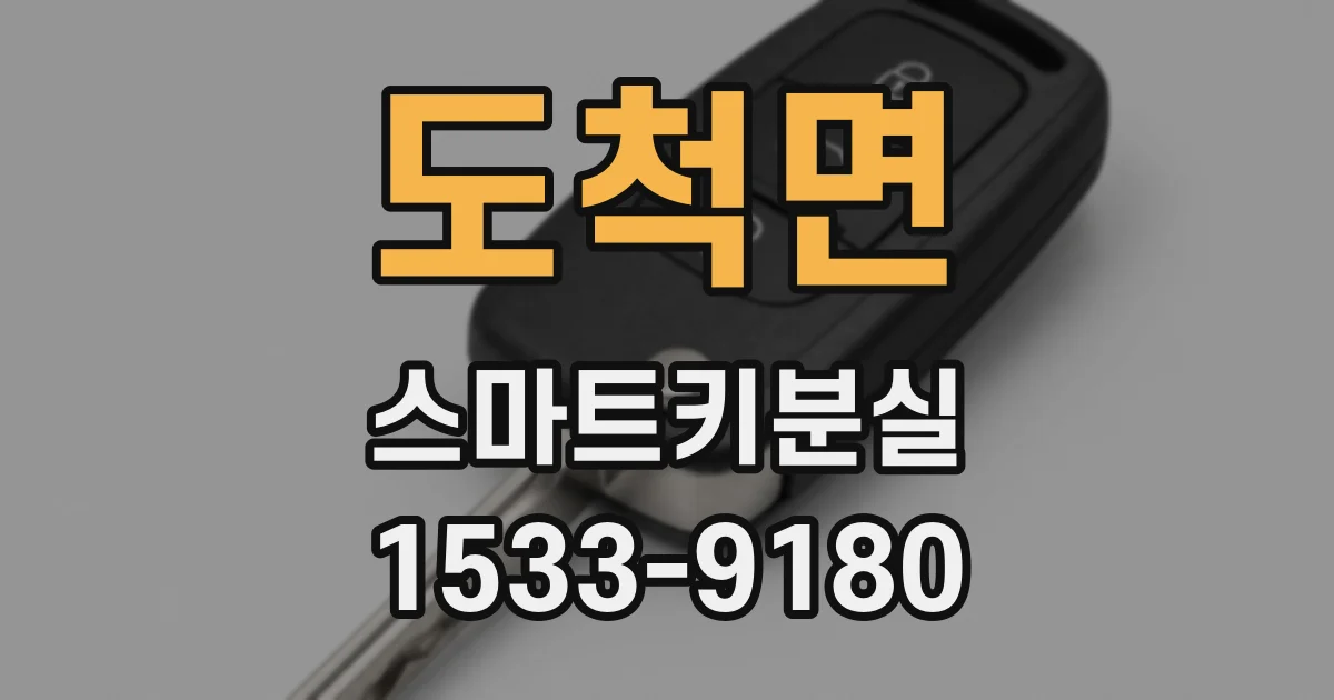 도척면 스마트키분실