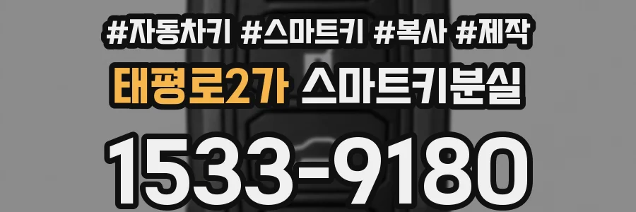 태평로2가 스마트키분실
