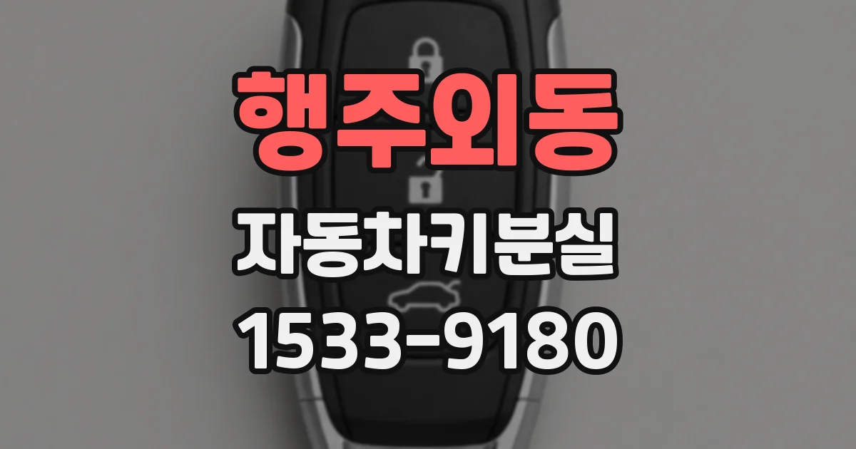 행주외동 자동차키분실
