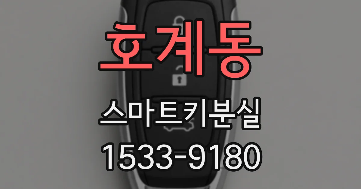호계동 스마트키분실