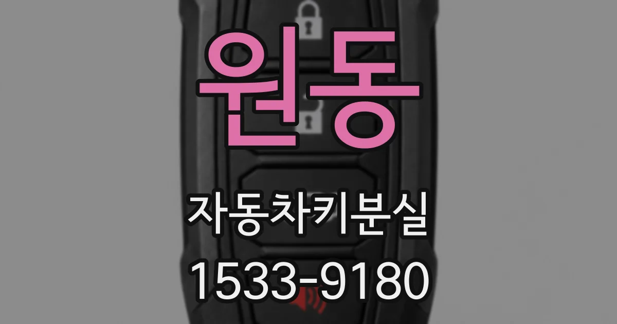 원동 자동차키분실